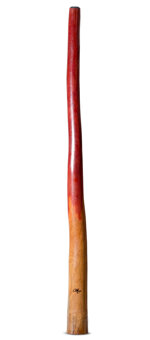 Tristan O'Meara Didgeridoo (TM403)